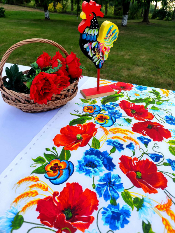 597718660_896578686128815_7538475997783375033_n