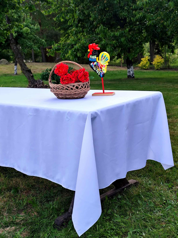 597385540_1447207293410751_2204718162243053474_n