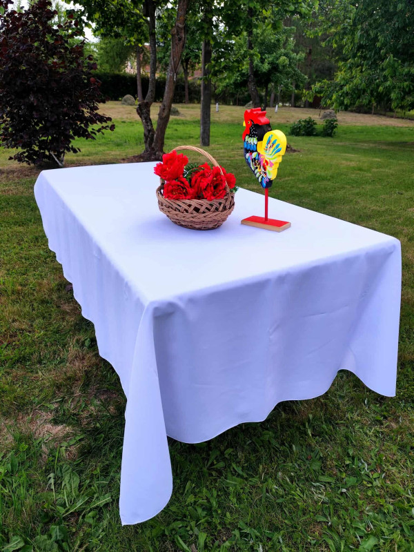 598745791_4345569922393774_1551040067265015148_n