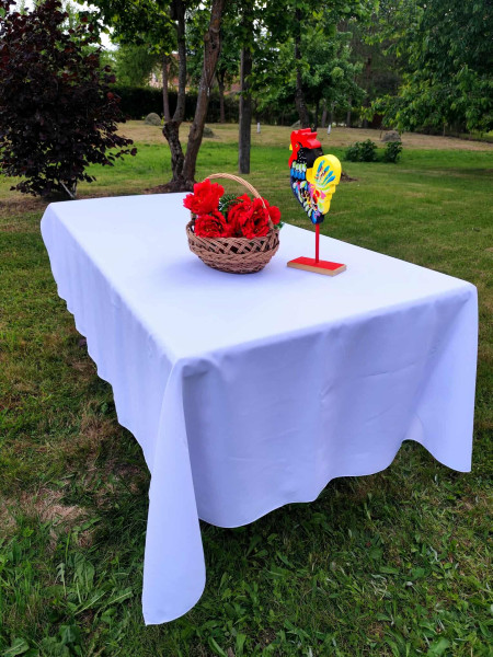 598745791_4345569922393774_1551040067265015148_n